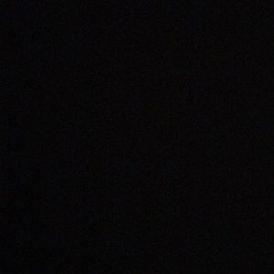 Meet your Posher, Angelica